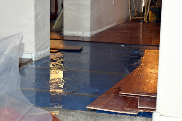 Professional Emergency Water Damage Restoration technician working in Valley Village, CA